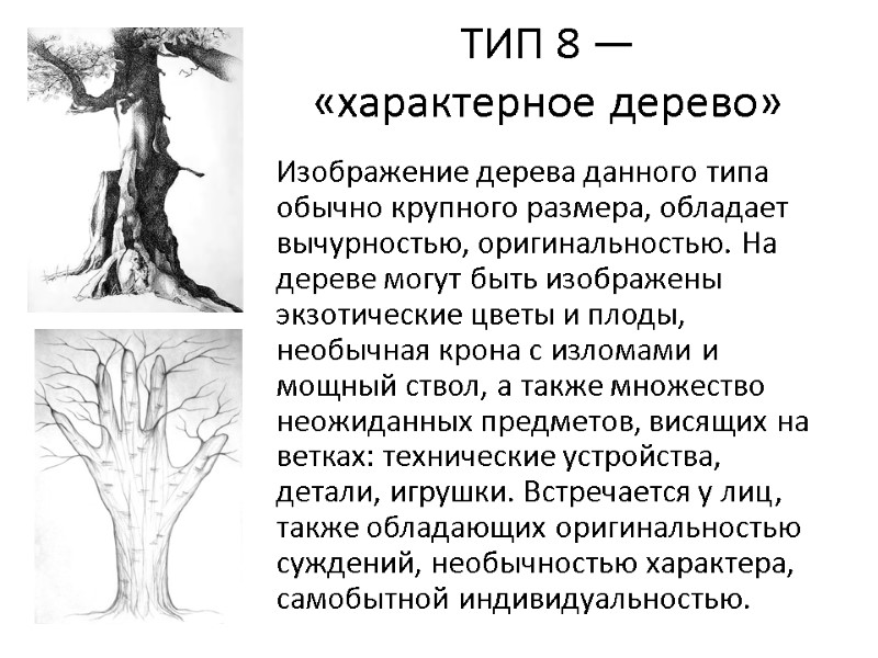 ТИП 8 —  «характерное дерево»  Изображение дерева данного типа обычно крупного размера,